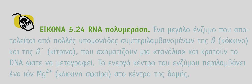 BIOXHMEIA, TOMOΣ I