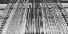 2.2. Προγραμματισ μός σ ε Κάρτες Γραφικών 43 time SIMT multithreaded instruction scheduler warp 8 instruction 11 Photo: Judy Schoonmaker warp 1 instruction 42 warp 3 instruction 95 warp 8 instruction
