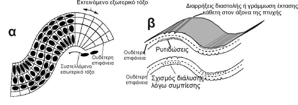 ΜΟΝΤΕΛΑ ΣΧΗΜΑΤΙΣΜΟΥ ΠΤΥΧΩΝ (2) Πτύχωση με απλή Κάμψη