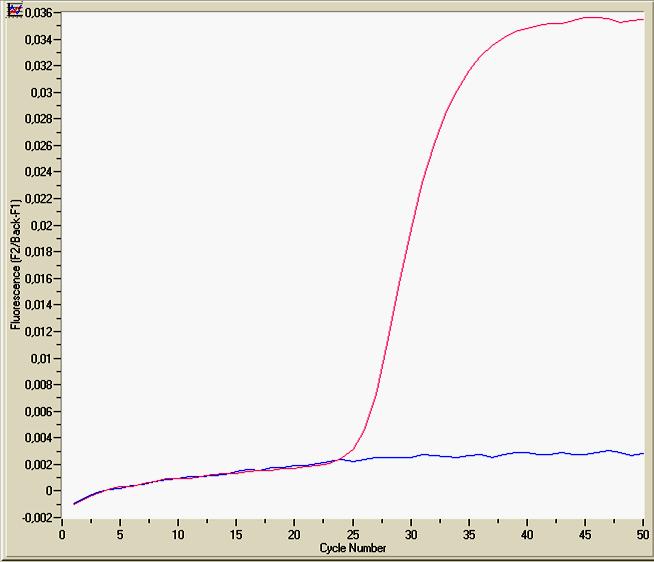 PCR Φάση Plateau