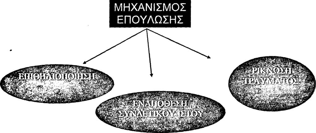 -5 - ΚΕΦΑΛΑΙΟ 1 1.