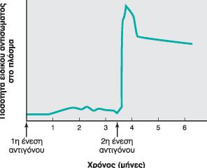 Ανοσολογική μνήμη ρυθμός παραγωγής