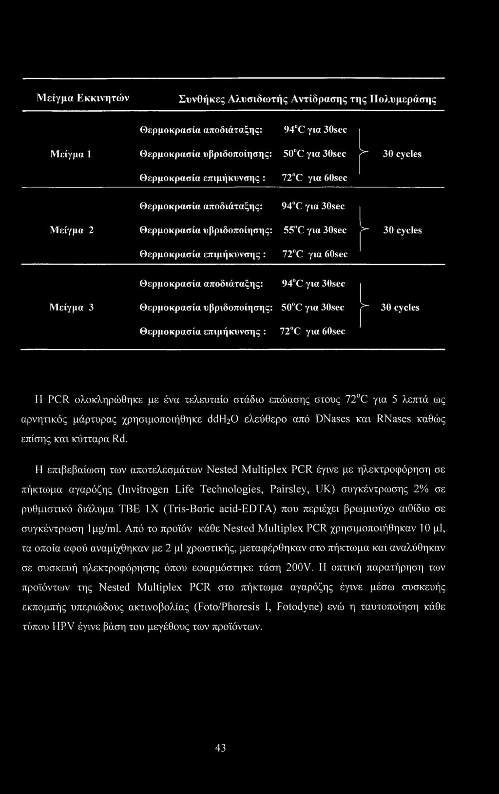 Μείγμα 3 Θερμοκρασία υβριδοποίησης: 50 C για 30sec >- 30 cycles Θερμοκρασία επιμήκυνσης : 72 C για 60sec H PCR ολοκληρώθηκε με ένα τελευταίο στάδιο επώασης στους 72 C για 5 λεπτά ως αρνητικός