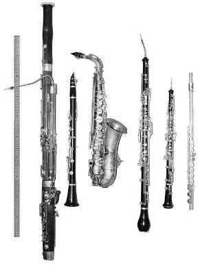 Ε ΓΑΣΤΗ 5: Υ Α ΕΥΣΤΑ (Φ ΓΕ Α- Α ) Α.Εισαγωγή Στο εργαστήριο αυτό εξετάζονται δύο ξύλινα πνευστά, η φλογέρα (recorder) και το κλαρίνο (clarinet) όσον αφορά τον τρόπο παραγωγής του ήχου από το καθένα.
