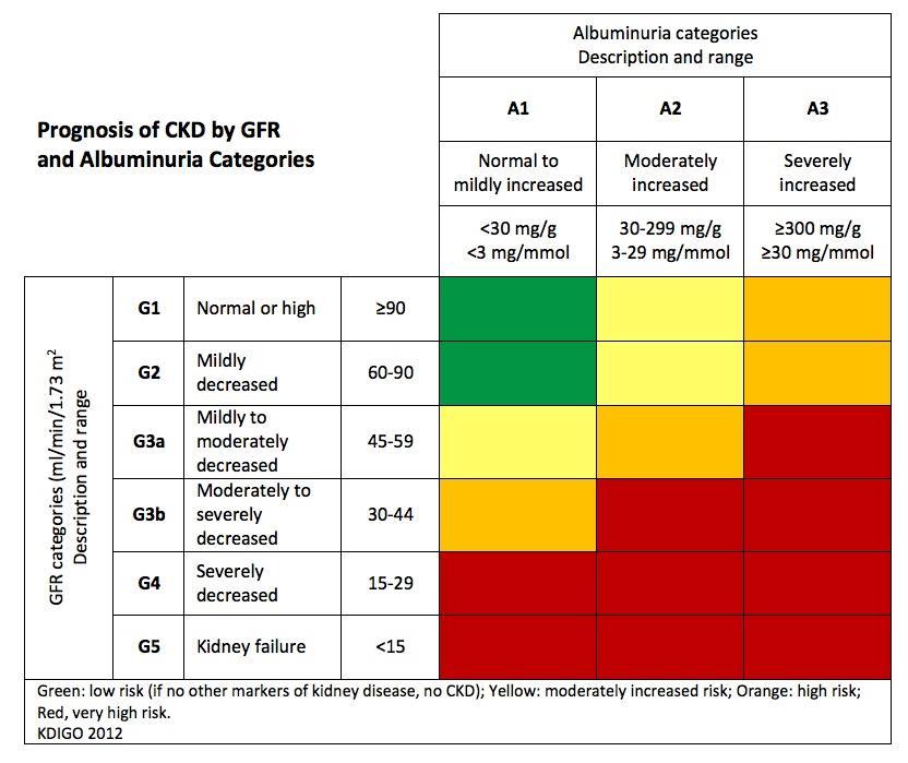 Classification of CKD Based on GFR and Albuminuria Categories: Heat Map Kidney