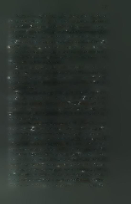 48 Παρατηρείται μία αυξημένη συμμετοχή στα προγράμματα για άτομα Τρίτης Ηλικίας και φαίνεται πως τα άτομα αυτά ασκούνται για βελτίωση του βιοτικού τους επιπέδου μαζί με φίλους τους πετυχαίνοντας με