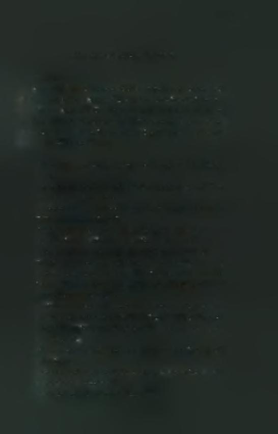 53 VI.