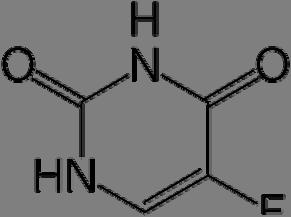 DNA. 193 Η 5-FU μετατρέπεται ενζυματικά (μέσω φοσφωρυλίωσης) σε νουκλεοτίδιο το οποίο ΚΕΦΑΛΑΙΟ 4 ο 5-ΦΛΟΥΟΡΟΥΡΑΚΙΛΗ 4.