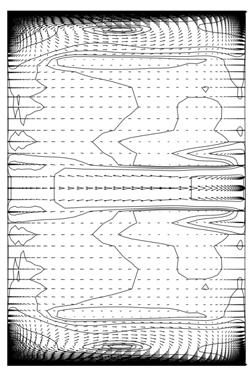 γ) D LEVM