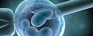 Περιορισμοί από την βιολογία των εμβρυϊκών δειγμάτων 1. Υλικό για τη γενετική διάγνωση = 1 κύτταρο Δυνατότητα μιας & μόνο αρχικής αντίδρασης 2.