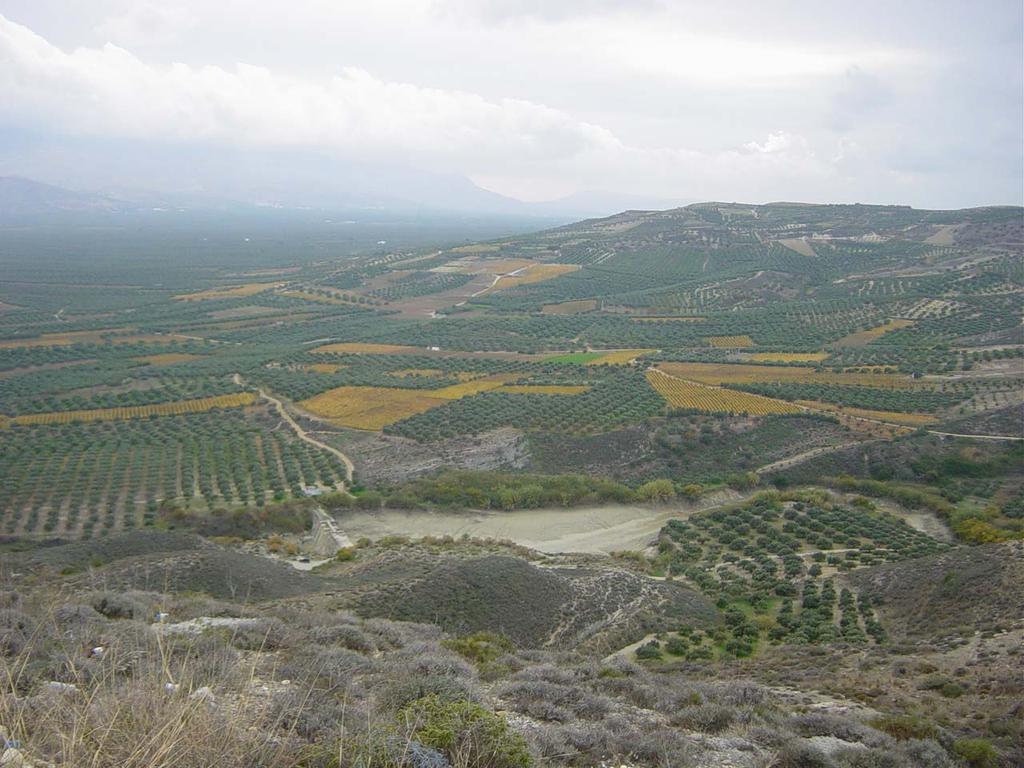 Παράρτηµα φωτογραφιών