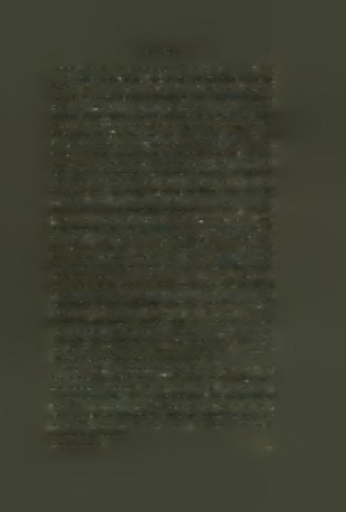 Όμιλεΐ περί των τοπικών παραλλαγών, αί δποΐαι δημιουργούν πολλούς ρυθμούς (τήν μέ στιλβωτήν διακόσμησιν, τον ρυθμόν Πύργου, τήν τέφραν χαρακτήν τύπου Πηλού, τήν γραπτήν τού 'Αγ.