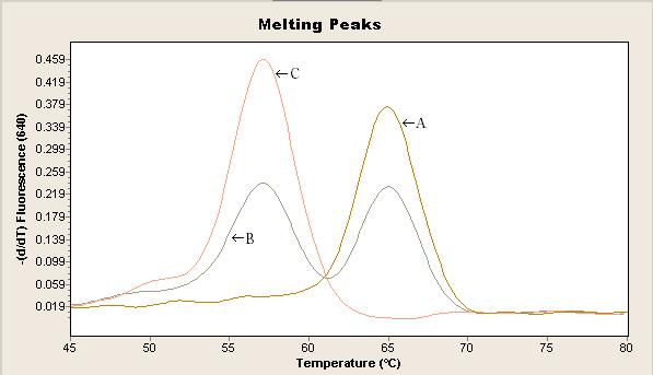 Výsledky 6. Výsledky Hodnotenie výsledku analýzy sa prevádza negatívnou deriváciou prvého rádu fluorescencie podľa teploty krivky topenia.