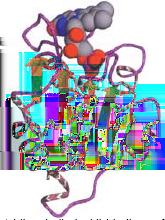 SCOP example 1 Root SCOP 2 Class α/β, mainly parallel β-sheets (β α β units) 3 Fold Flavodoxin-like: 3 layers, α/β/α; parallel β-sheet of 5