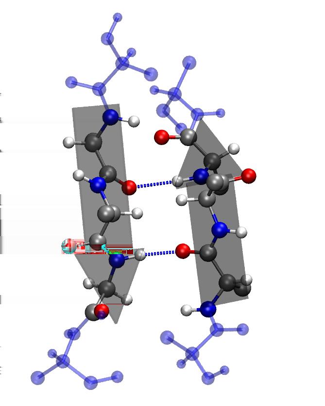 β-sheet Parallel xor antiparallel (twisted).
