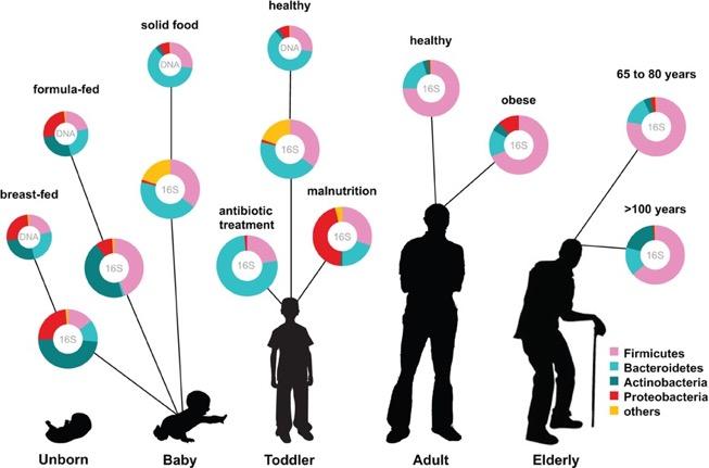 Nicholson, Jeremy K., et al. Science 336.6086 (2012): 1262-1267.