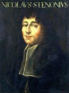 Nicolas Steno (1638-86) Ο Δανός Niels Stensen ή γνωστός ως Steno (1638-86) θεωρείται ως ο
