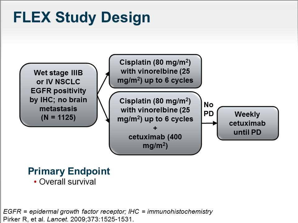 Cetuximab