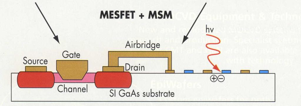 + MSM