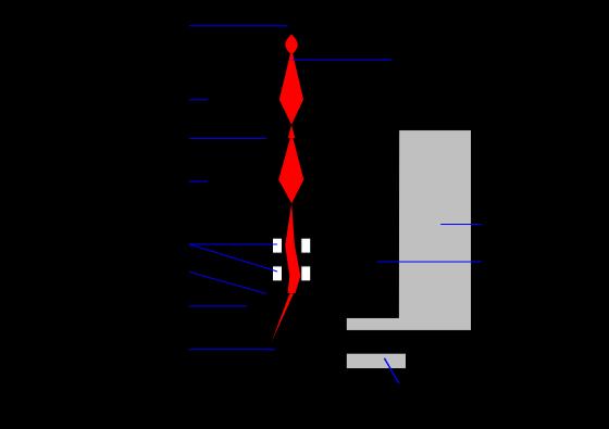 Σχήμα 4. Σχηματική απεικόνιση ηλεκτρονικού μικροσκοπίου σάρωσης. Βασικές προϋποθέσεις της μεθόδου είναι το δείγμα να είναι αγώγιμο και να αντέχει σε κενό, δηλαδή σε έλλειψη αερίου περιβάλλοντος.