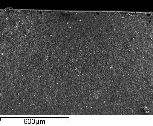 Εικόνα 43. Μικροφωτογραφία SEM από τυχαίο δείγμα της ομάδας κεραμικών W.
