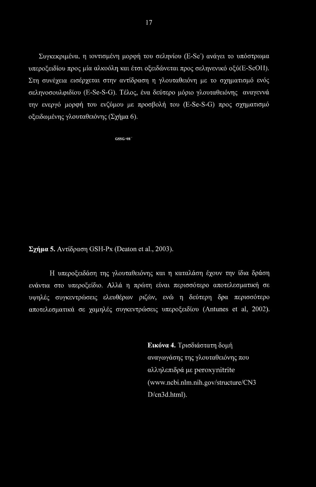 Τέλος, ένα δεύτερο μόριο γλουταθειόνης αναγεννά την ενεργό μορφή του ενζύμου με προσβολή του (E-Se-S-G) προς σχηματισμό οξειδωμένης γλουταθειόνης (Σχήμα 6). GSSG+H" Σχήμα 5.