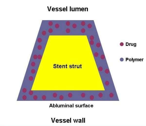 Different drugs (biolimus, novolimus) Thinner struts (cobalt chromium)