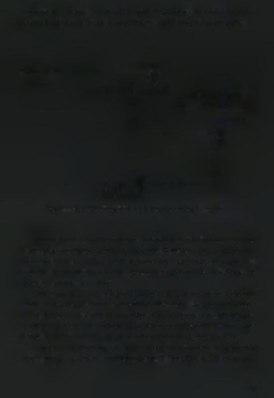 είναι ανάλογη με το πάχος του υμένα. Στο σχήμα 3.5 παρουσιάζεται ένα διάγραμμα που περιγράφει τη μέθοδο απεικόνισης με φθορισμό καθώς και τα διάφορα όργανα μέτρησης.