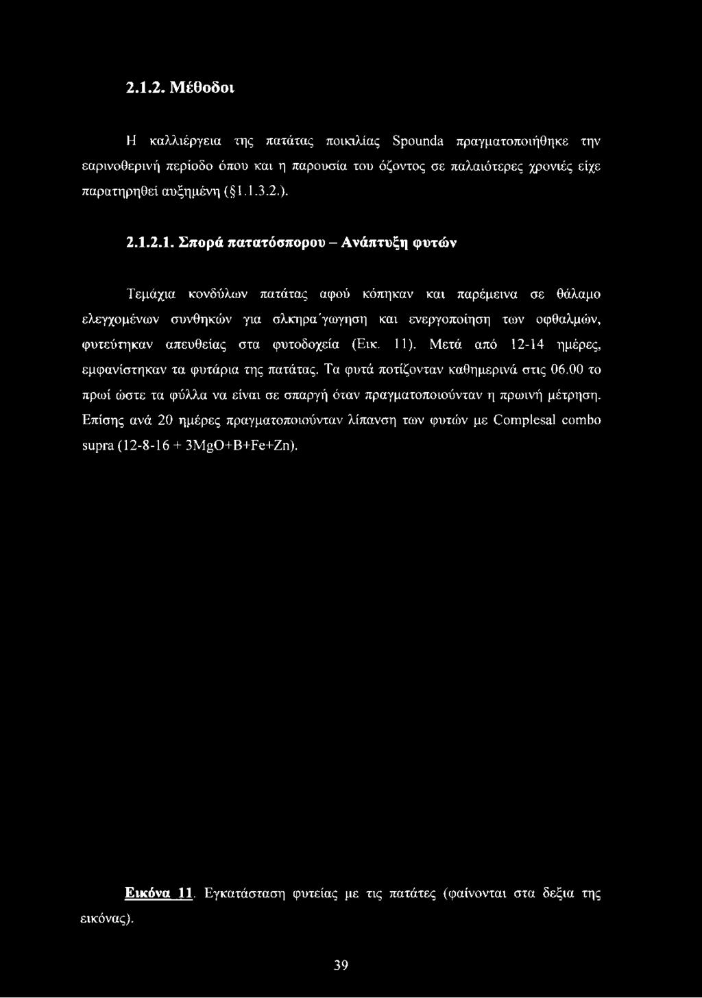 2.Ι. Σπρά πατατόσπρυ - Ανάπτυξη φυτών Τεμάχια κνδύλων πατάτας αφύ κόπηκαν και παρέμεινα σε θάλαμ ελεγχμένων συνθηκών για