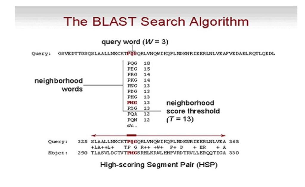 αλληλουχία της βάσης με κάθε neighborhood word.