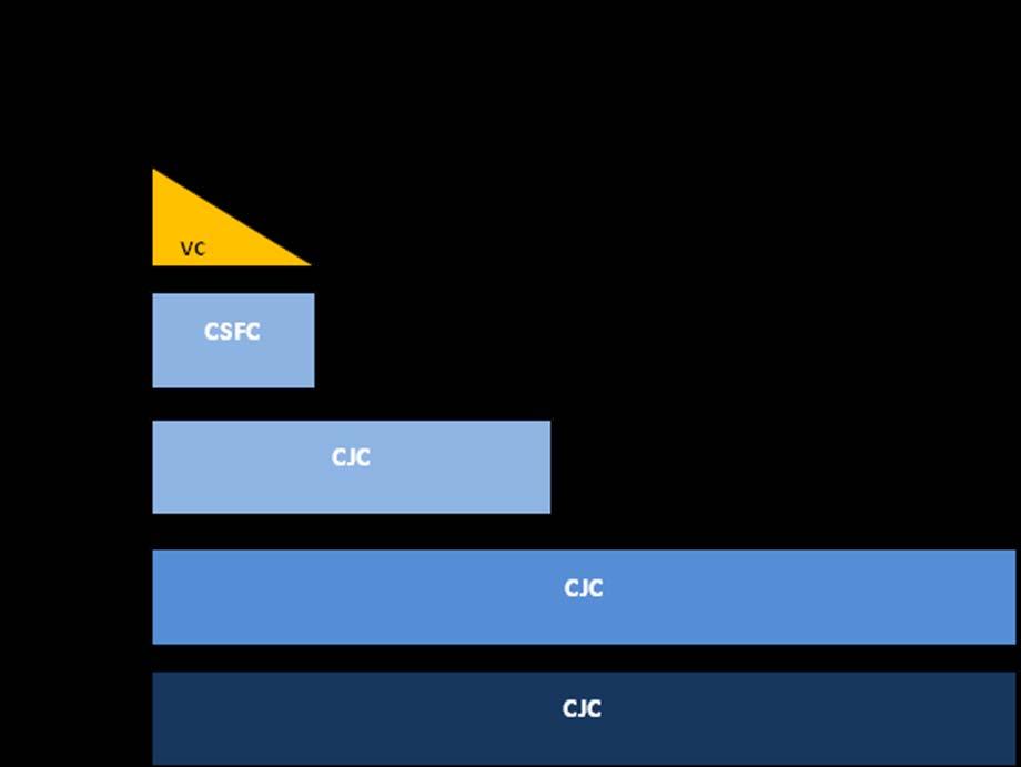 povezani isključivo sa PSTN linijom (npr. VC i CFC linijske kartice), dok LRIC+ dodaje dio za zajedničke i združene troškove. Kao što se vidi iz slike, postoje različite vrste CJC troškova. 1.3.