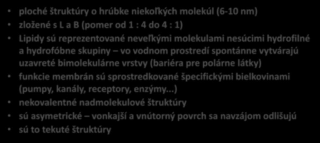 ploché štruktúry o hrúbke niekoľkých molekúl (6-10 nm) zložené s L a B (pomer od 1 : 4 do 4 : 1) Lipidy sú reprezentované neveľkými molekulami nesúcimi hydrofilné a hydrofóbne skupiny vo vodnom