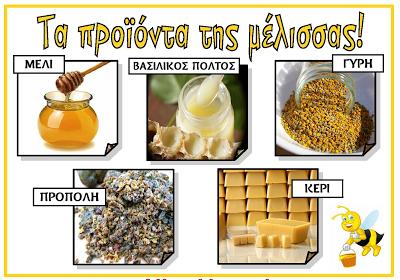 22. Ποια είναι τα κυριότερα προϊόντα των μελισσών; Οι μέλισσες εκτρέφονται για το μέλι, που θεωρείται μια από τις πιο καλές τροφές, για το βασιλικό πολτό που χρησιμοποιείται σαν διεγερτικό και στην