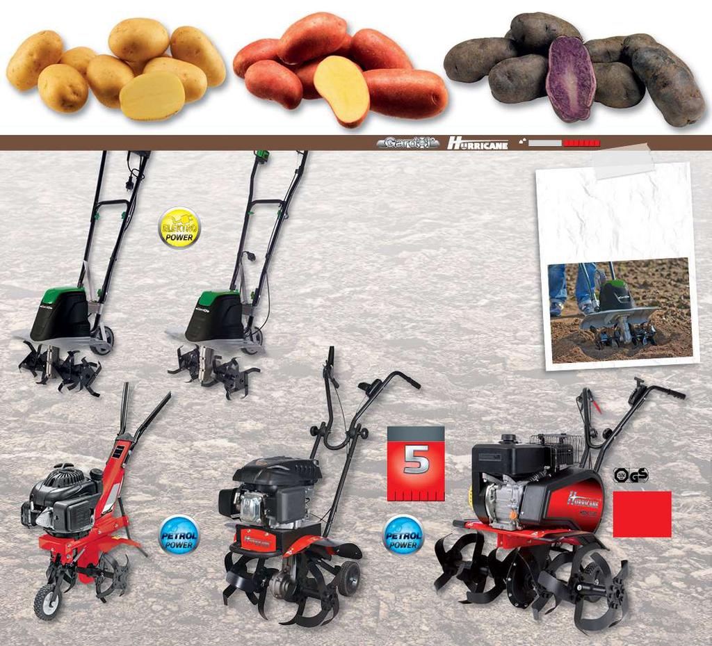 osvedčené odrody, určené pre klimatické podmienky v SR, balenie 5 kg a 10 kg 4, 99 / 5 kg 9, 79 / 10 kg Fialové zemiaky raritné odrody Bergerac a salad Blue s fialovou dužinou 4, 99 / 0,5 kg