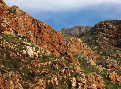 Toe die Suid- en Suidwes-Kaap 200 miljoen jaar gelede die eerste ontsaglike inwendige aardkorskragte beleef het, was die sandsteen van die Kaapse stelsel nog steeds onder die aarde se oppervlak