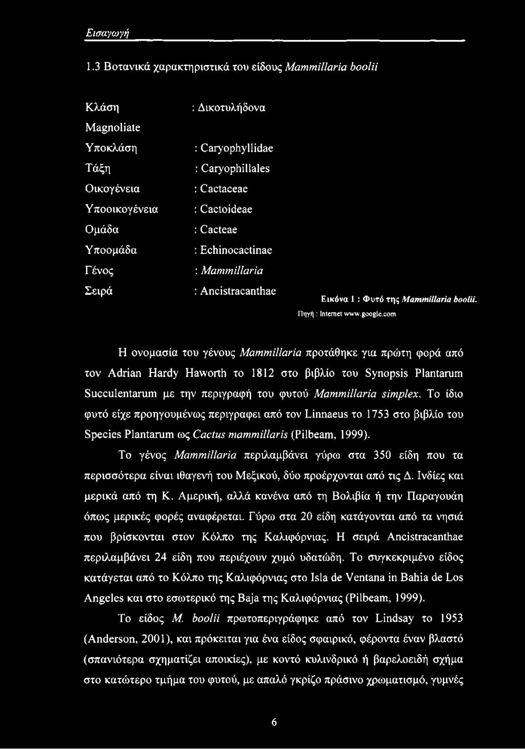 : Cactoideae : Cacteae : Echinocactinae : Mammillaria : Ancistracanthae Εικόνα 1 : Φυτό της Mammillaria boolii. Πηγή : Internet www.google.