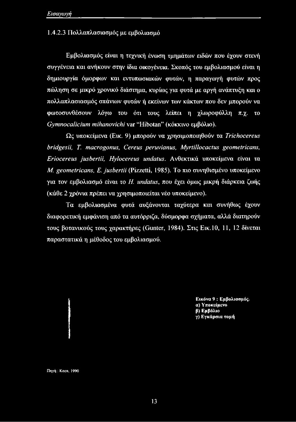 ή εκείνων των κάκτων που δεν μπορούν να φωτοσυνθέσουν λόγω του ότι τους λείπει η χλωροφύλλη π.χ. το Gymnocalicium mihanovichi var Hibotan (κόκκινο εμβόλιο). Ως υποκείμενα (Εικ.