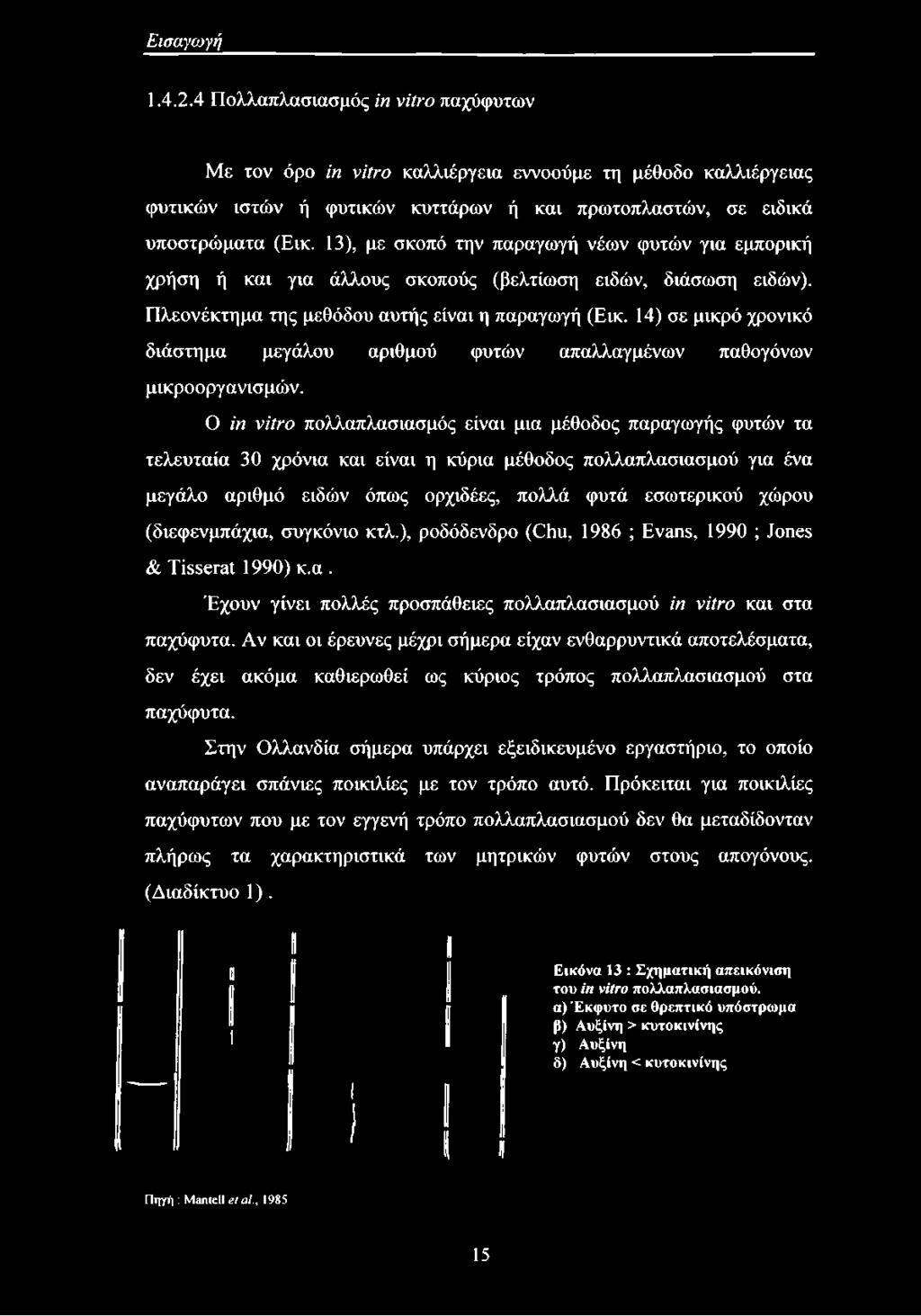 14) σε μικρό χρονικό διάστημα μεγάλου αριθμού φυτών απαλλαγμένων παθογόνων μικροοργανισμών.
