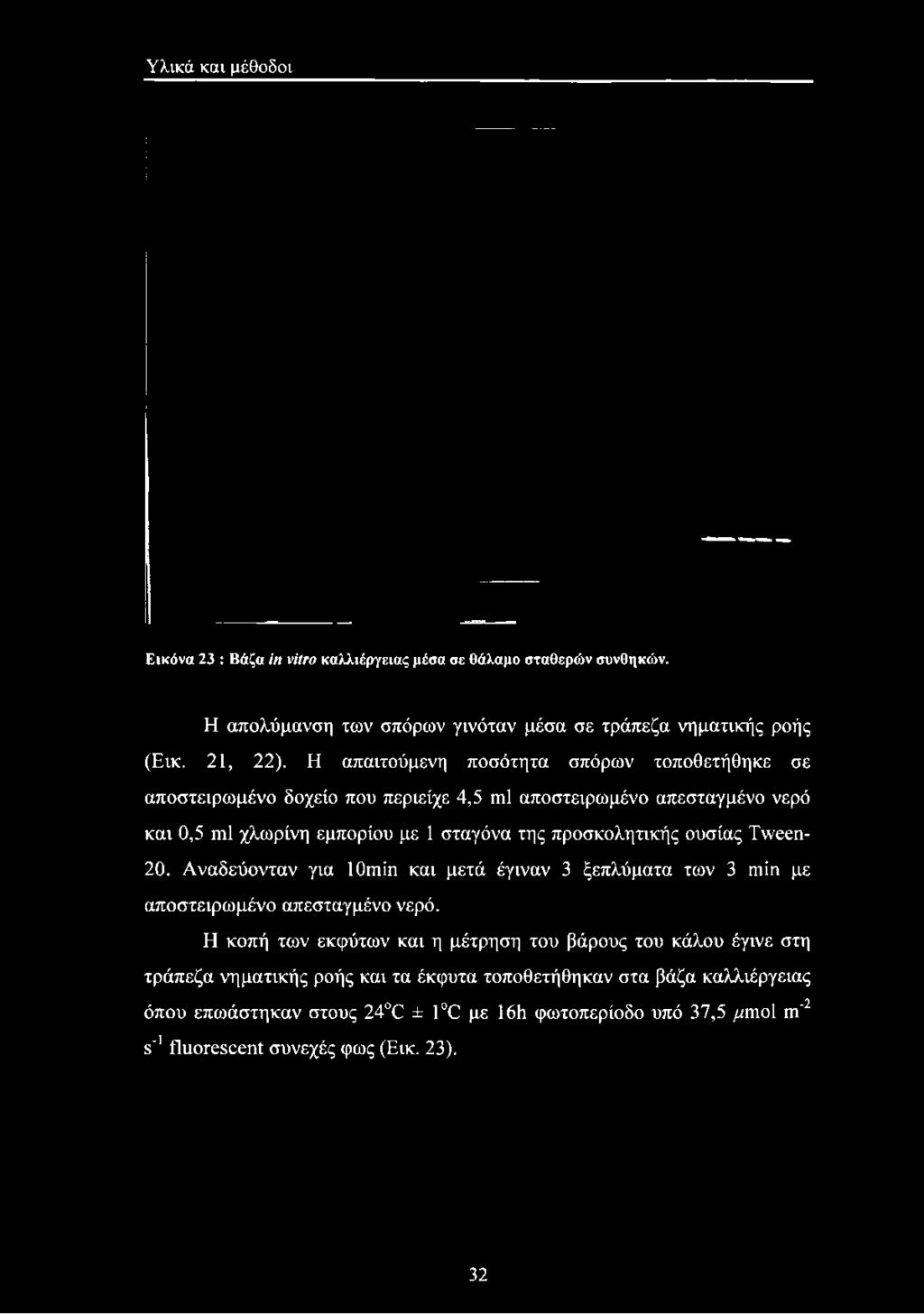 Υλικά και μέθοδοι Εικόνα 23 : Βάζα in vitro καλλιέργειας μέσα σε θάλαμο σταθερών συνθηκών. Η απολύμανση των σπόρων γινόταν μέσα σε τράπεζα νηματικής ροής (Εικ. 21, 22).