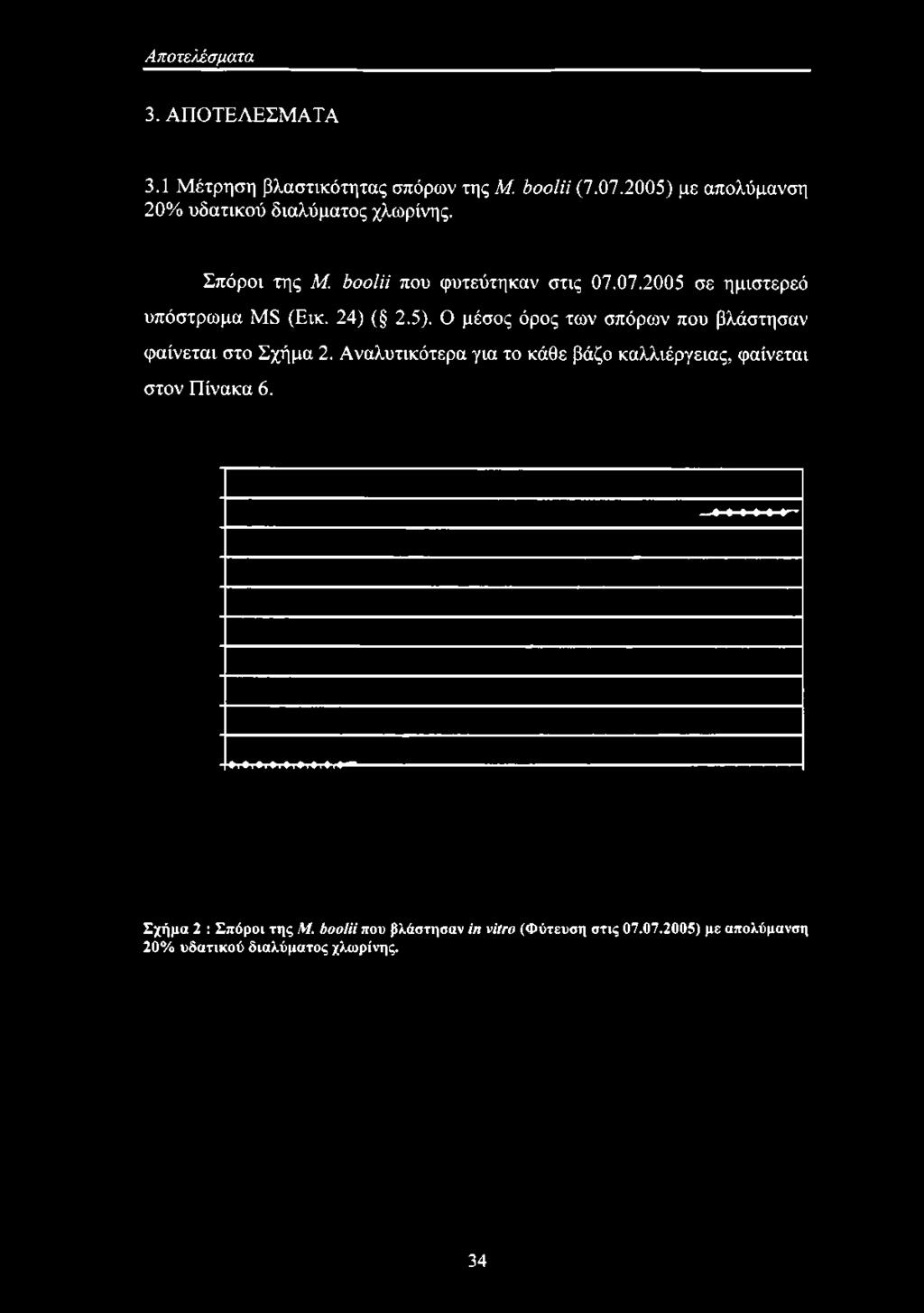 ΒοοΙϋ που φυτεύτηκαν στις 07.07.2005 σε ημιστερεό υπόστρωμα Μ8 (Εικ. 24) ( 2.5).