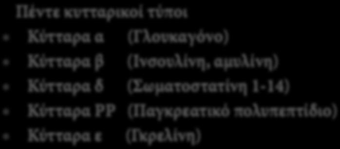 Tα παράγωγα Πέντε κυτταρικοί τύποι Κύτταρα α (Γλουκαγόνο) Κύτταρα β (Ινσουλίνη, αμυλίνη)