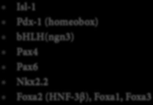 Καθοριστές διαφοροποίησης Ιsl-1 Pdx-1 (homeobox)