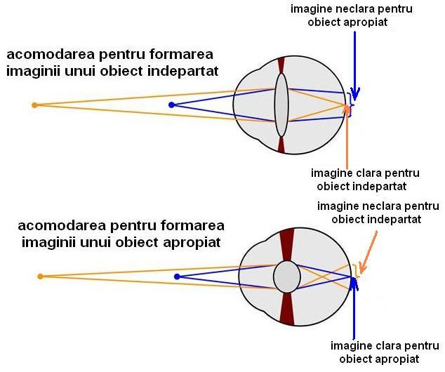 Noţiuni fundamentale de optică geometrică. Elemente de biofizica analizorului vizual sfericitate produse de lentilele ochiului.
