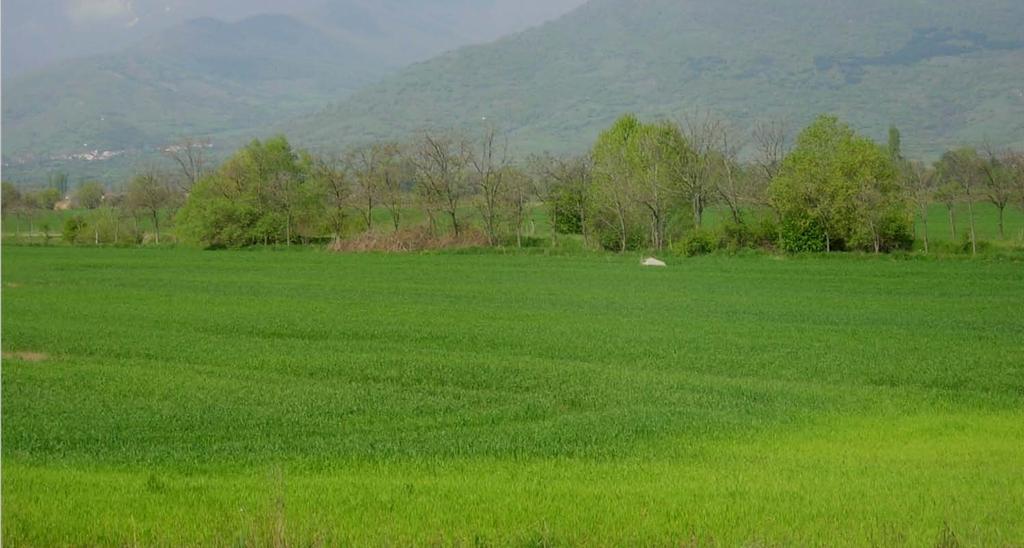 Η ρίζα κάτω από συνθήκες καταπόνησης Η ανοξία από κατάκλιση του εδάφους