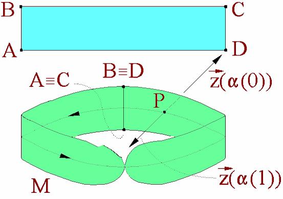 Un model al ei se poate obţine dacă răsucind o dată bucăţica dreptunghiulară de hârtie ABCD, se lipesc capetele ei în aşa fel încât punctul A să coincidă cu C, iar B cu D. Banda lui Möbius (fig.