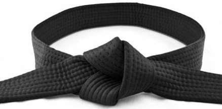 4.کمر بند مشکی ها Black belts افرادي كه مديريت اجرايي پروژه هاي شش سيگما را به