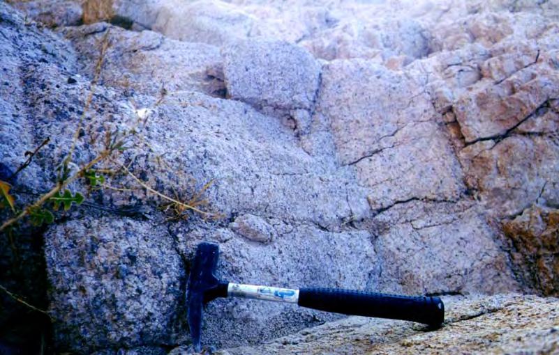 Φωτογραφία 3. 10: Ο Λευκός Ιγκνιμβρίτης παρουσιάζει μεγάλη συγκέντρωση λιθικών που δημιουργούν στρώση στο ανώτερο τμήμα του.