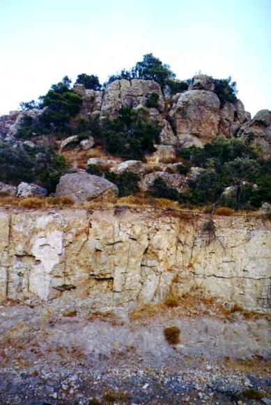 MGF III PU Φωτογραφία 3.