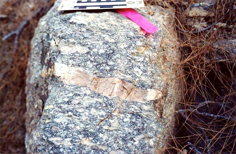 Φωτογραφία 3.21: Η βάση της μονάδας Μεγαφιάμμα είναι επίσης έντονα συγκολλημένη. Οι φιάμμες έχουν κεραμιδί χρώμα που οφείλεται σε πυριτίωση.