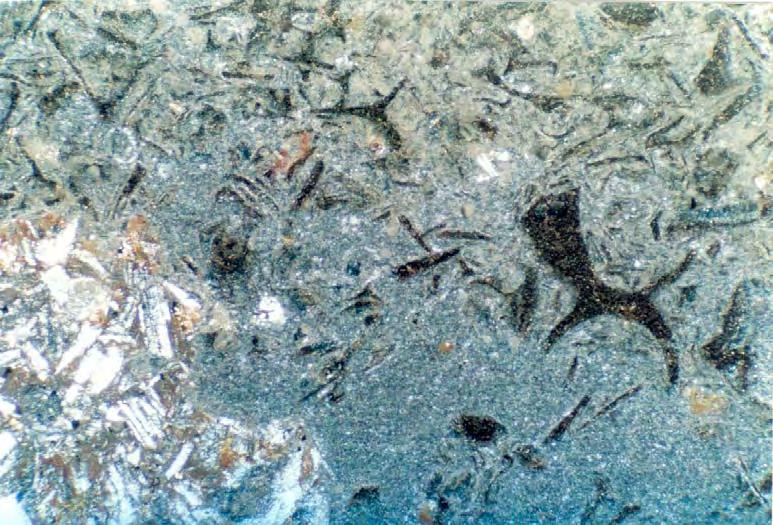 Φωτογραφία 5. 13: Πυροκλαστικά μη-συγκολλημένα λεπτά θραύσματα γυαλιού σε πιθανά αφυαλωμένο συγκολλητικό υλικό σε μέγεθος αργίλου στη μονάδα GR.